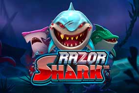 Razon Shark
